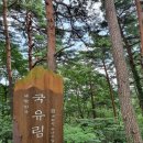 국립대관령자연휴양림 이미지