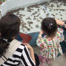 작은왕국어린이집 | 33개월 아기발달기록 : 공주키즈카페/ 요트투어/ 청도캠핑/ 물놀이 좋아/ 겨울왕국에 빠진 아기/