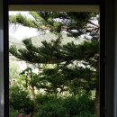 19기 그리스 졸업여행 10일차 : 크레타 가죽거리(260518) 이미지