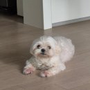 국립서울현충원 임시정부화장실 | 일상기록: 25년 9월 2부