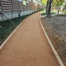 하단동118 이미지