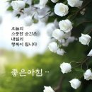 ♧ 석인성시(惜吝成屎) 이미지