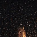 [스피치]힐링스피치2 이미지