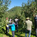 지품면사무소 이미지