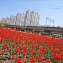 낙동강관리본부 화명생태공원 4 이미지