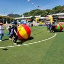 안의초등학교 이미지