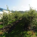 기계면사무소 이미지