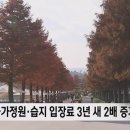 순천시민만 20만원의 민생지원금을 더 받게 된 이유.jpg 이미지