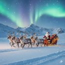 도봉도서관 | 도봉문화 정보도서관 스마트폰 영상 카드 만들기 강의 셀프 후기