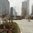 구청 남측광장 이미지