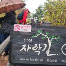 벙개탄에 올린 글 이미지