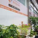 은행정경로당 이미지