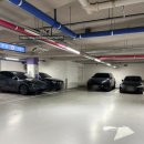 사임당로 115 (2) 이미지