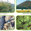 계림약품 이미지