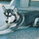 해운동011 이미지