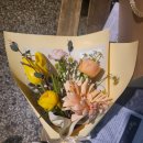 Flower늘봄
