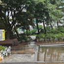시기동 주민센터 이미지