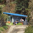 통일상회 이미지