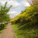 설레이다 이미지