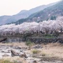 하동 이미지