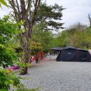 안성비봉산 캠핑장 이미지