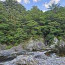 법수치오토캠핑장 이미지