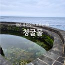 수연장 | 제주 청굴물 I 주차장, 물때, 만조 시간, 주소, 샤워, 수영, 스노쿨링 총 정리
