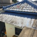 완월동243 이미지