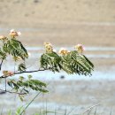 도양우체국 이미지