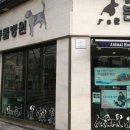 본리종합동물병원 네이버블로그
