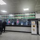 금아여행사