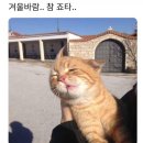 성수동꿀꽈배기 이미지