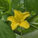 도리 마을회관 이미지