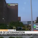 연지카센타 이미지