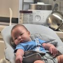 다인축사 이미지