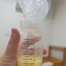 영등포산후조리원 더아이리스 디럭스 2주 내돈내산 솔직후기