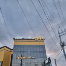 갤러리캣 | 수성못 대관 가능한 수성구 와인바 보스캣｜갤러리 분위기 술집 후기