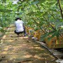 민국농장 이미지