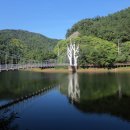 제169차/충북/단양여행(2025.9.25) 이미지