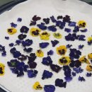 가양초등학교/가양유치원 이미지