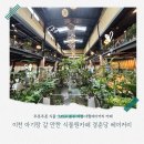 이천 대형베이커리카페 경춘당 직접가본 후기