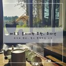 마로힐링요가아쉬람 | 제주도 혼자여행 추천! 요가와 명상, 다도가 함께하는 취다선 리조트 (+ 성산오조미야, 목화휴게소)