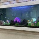 문소아과의원 | 제주 문앤송 소아과 아이 감기 진료 후기 : 야간진료, 주말진료 가능한 제주 소아과