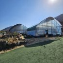 안기농장 이미지