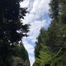 벤치타임 이미지