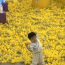 모넬로키즈카페 이미지