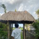 아침농장 | [Bali_13] 더 웨스틴 우붓 프라이빗 조식 피크닉 후기_야외 농장 아침식사 강추!