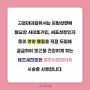 고은미클리닉 이미지
