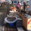 임회면 십일시장 이미지