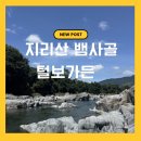 3450 | 지리산 뱀사골 계곡 추천｜소동폭포 털보가든 평상 예약·백숙·물놀이 후기
